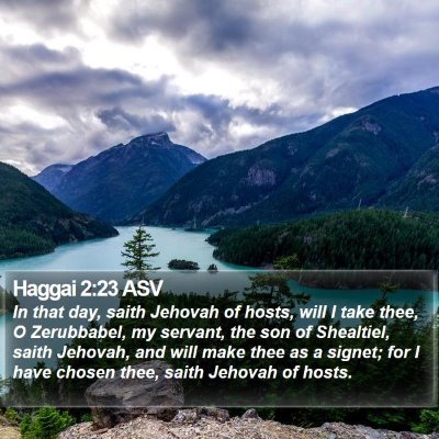 Haggai 2:23 ASV Bible Verse Image