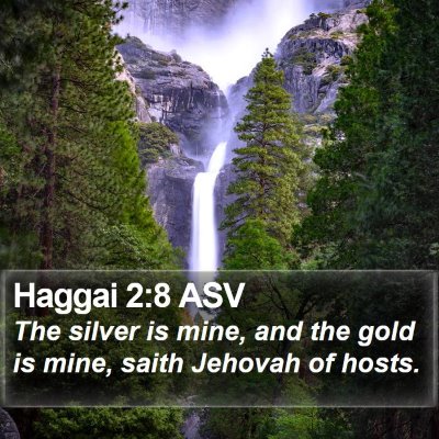 Haggai 2:8 ASV Bible Verse Image