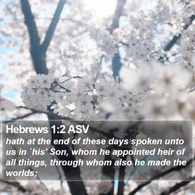 Hebrews 1:2 ASV Bible Verse Image