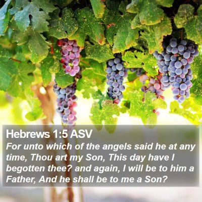 Hebrews 1:5 ASV Bible Verse Image