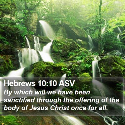 Hebrews 10:10 ASV Bible Verse Image