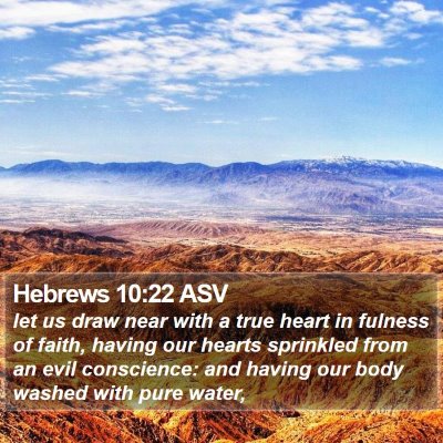 Hebrews 10:22 ASV Bible Verse Image