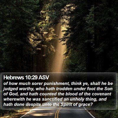 Hebrews 10:29 ASV Bible Verse Image