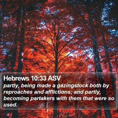 Hebrews 10:33 ASV Bible Verse Image