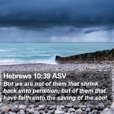 Hebrews 10:39 ASV Bible Verse Image