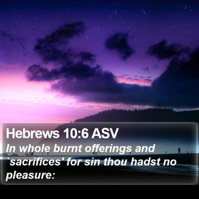 Hebrews 10:6 ASV Bible Verse Image