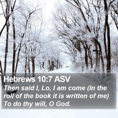 Hebrews 10:7 ASV Bible Verse Image