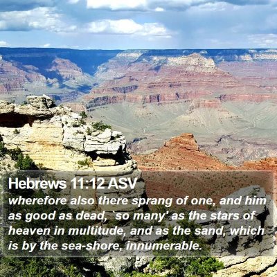 Hebrews 11:12 ASV Bible Verse Image