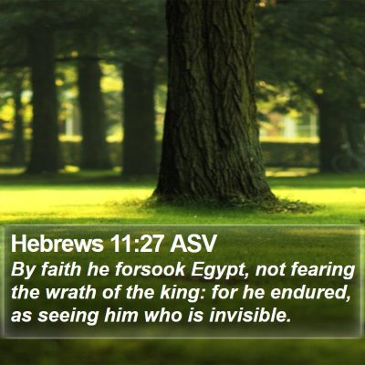 Hebrews 11:27 ASV Bible Verse Image