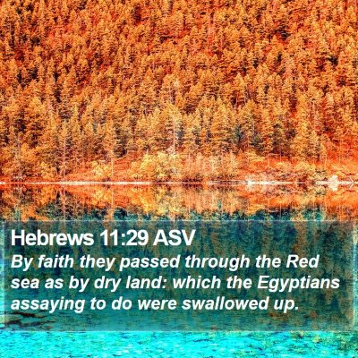 Hebrews 11:29 ASV Bible Verse Image