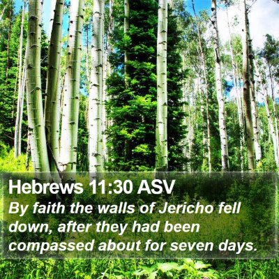 Hebrews 11:30 ASV Bible Verse Image
