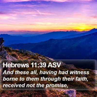 Hebrews 11:39 ASV Bible Verse Image