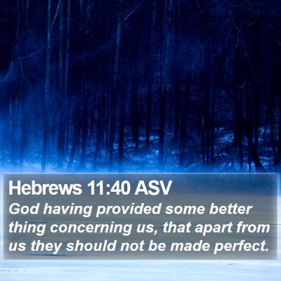 Hebrews 11:40 ASV Bible Verse Image