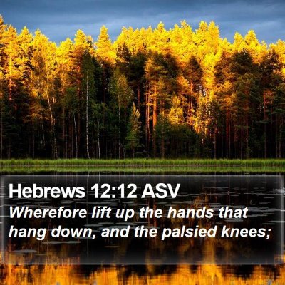 Hebrews 12:12 ASV Bible Verse Image