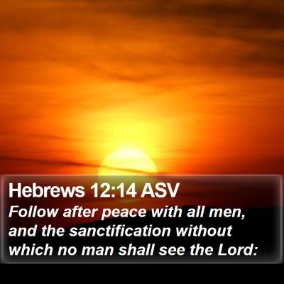 Hebrews 12:14 ASV Bible Verse Image
