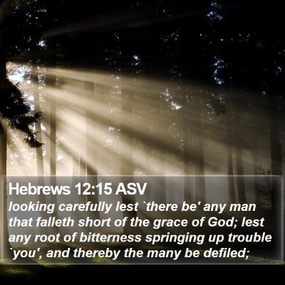 Hebrews 12:15 ASV Bible Verse Image