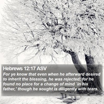 Hebrews 12:17 ASV Bible Verse Image