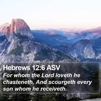 Hebrews 12:6 ASV Bible Verse Image