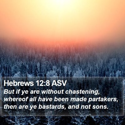 Hebrews 12:8 ASV Bible Verse Image