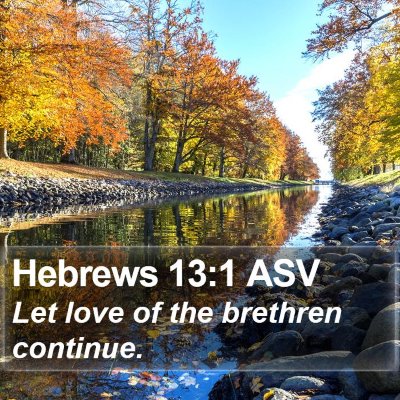 Hebrews 13:1 ASV Bible Verse Image