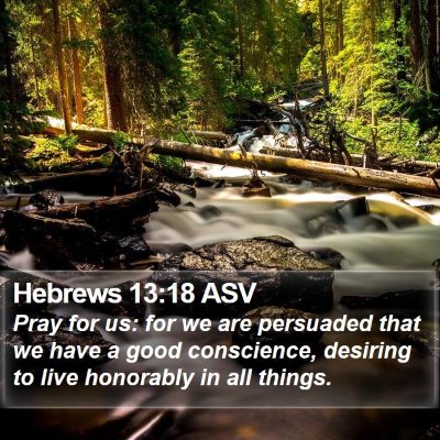 Hebrews 13:18 ASV Bible Verse Image