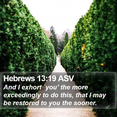 Hebrews 13:19 ASV Bible Verse Image