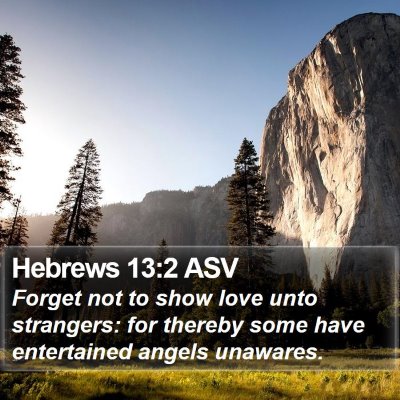 Hebrews 13:2 ASV Bible Verse Image