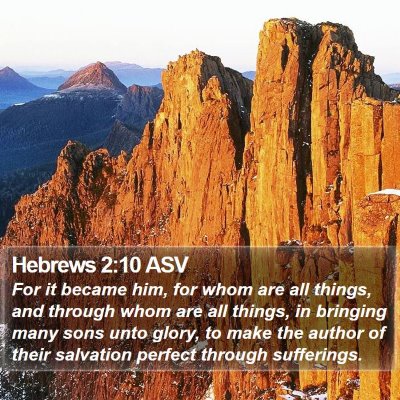 Hebrews 2:10 ASV Bible Verse Image
