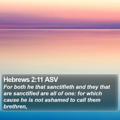 Hebrews 2:11 ASV Bible Verse Image