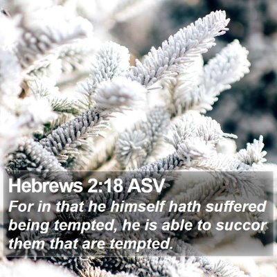 Hebrews 2:18 ASV Bible Verse Image