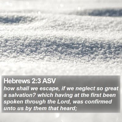 Hebrews 2:3 ASV Bible Verse Image