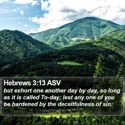 Hebrews 3:13 ASV Bible Verse Image
