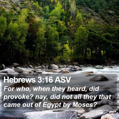 Hebrews 3:16 ASV Bible Verse Image