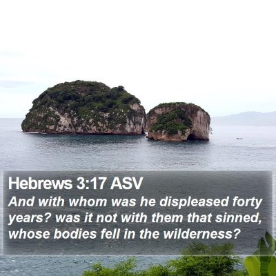 Hebrews 3:17 ASV Bible Verse Image