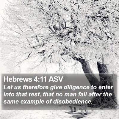 Hebrews 4:11 ASV Bible Verse Image
