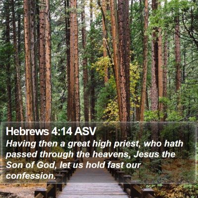 Hebrews 4:14 ASV Bible Verse Image