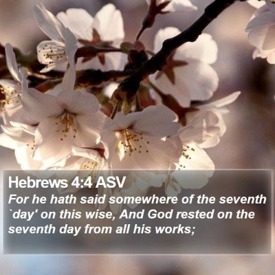 Hebrews 4:4 ASV Bible Verse Image