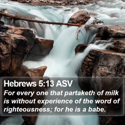 Hebrews 5:13 ASV Bible Verse Image