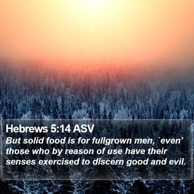 Hebrews 5:14 ASV Bible Verse Image