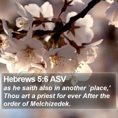 Hebrews 5:6 ASV Bible Verse Image