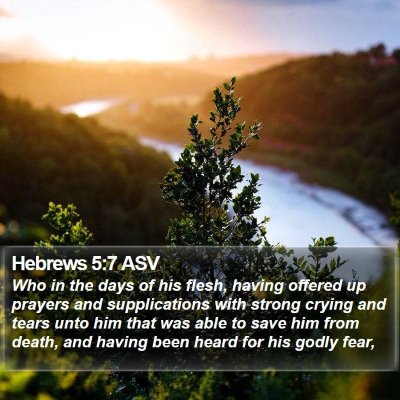 Hebrews 5:7 ASV Bible Verse Image