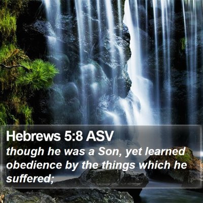 Hebrews 5:8 ASV Bible Verse Image
