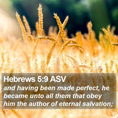 Hebrews 5:9 ASV Bible Verse Image