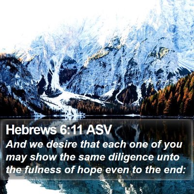 Hebrews 6:11 ASV Bible Verse Image