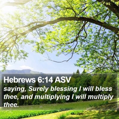 Hebrews 6:14 ASV Bible Verse Image