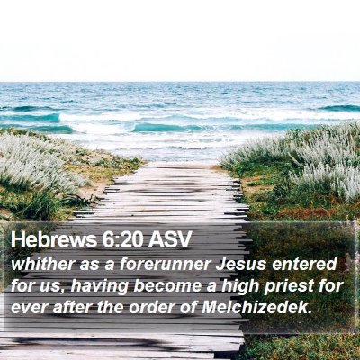 Hebrews 6:20 ASV Bible Verse Image