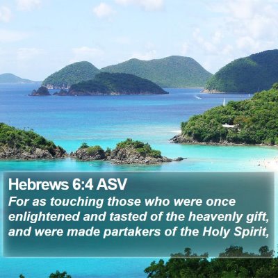 Hebrews 6:4 ASV Bible Verse Image