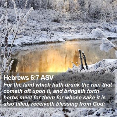 Hebrews 6:7 ASV Bible Verse Image