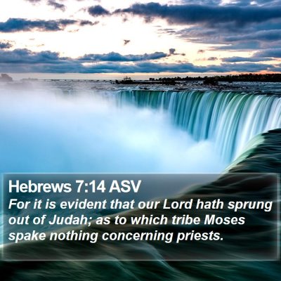 Hebrews 7:14 ASV Bible Verse Image