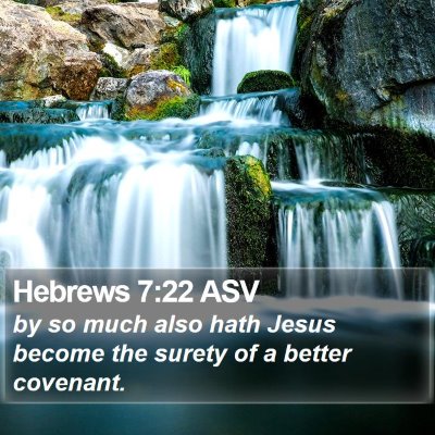 Hebrews 7:22 ASV Bible Verse Image